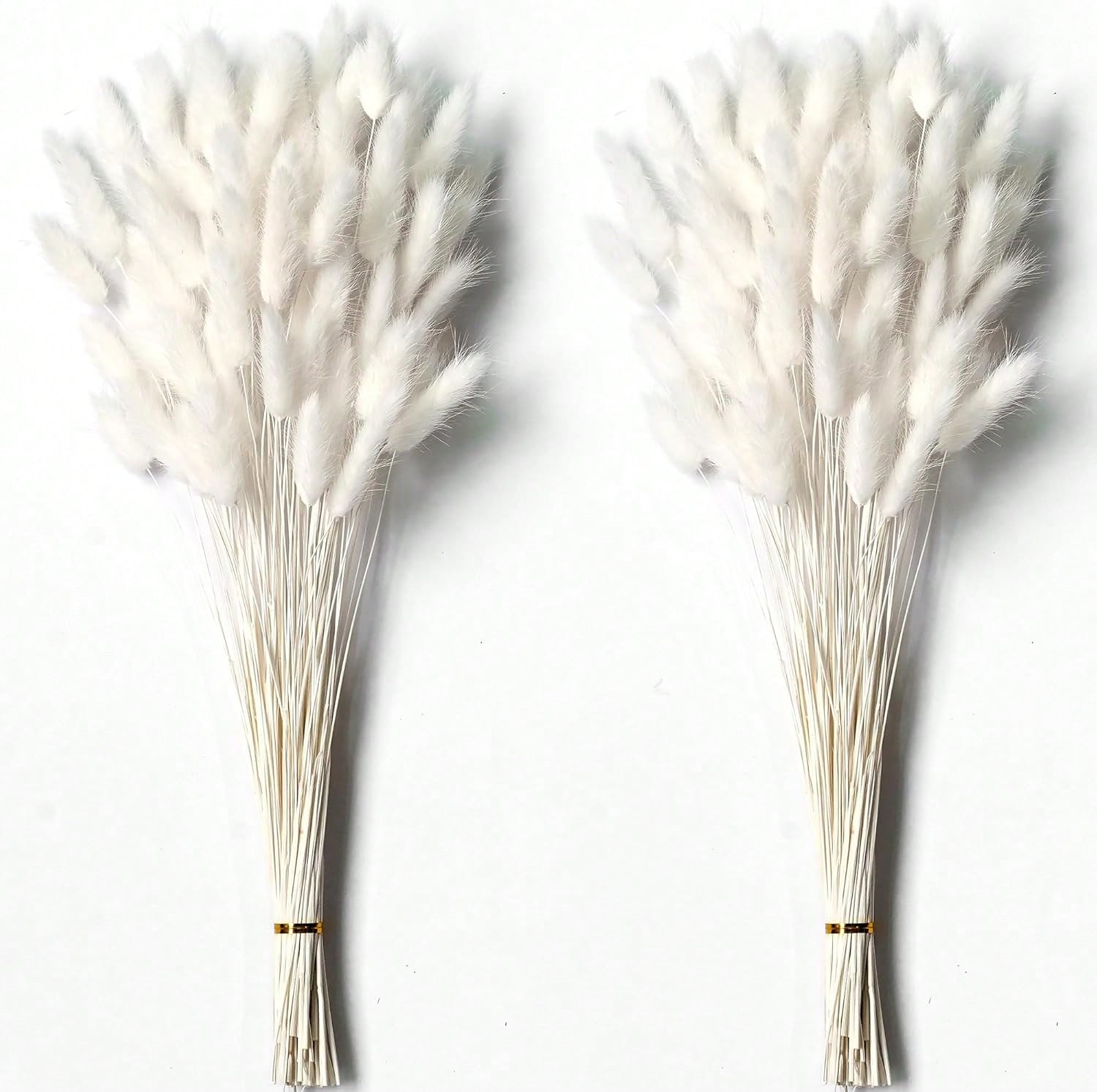 Dried Flower Bulk - 120個入り パンパスグラス ドライフラワー デコレーション用 パンパスグラス 大量