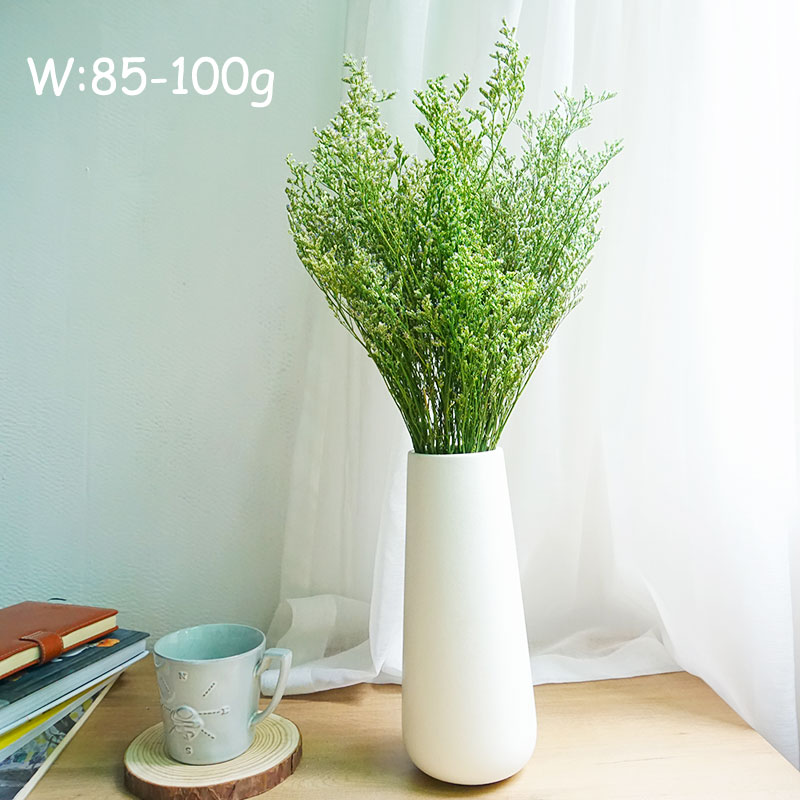 70g/プリザーブドバレンタイングラス リモニアフラワー ラ - Dried Flower Bulk のレビューと価格