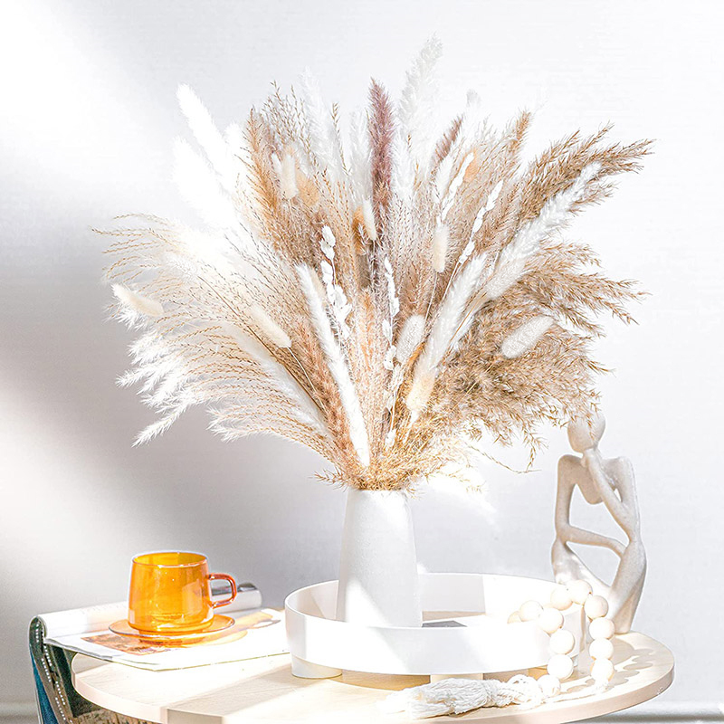 乾燥した天然湿地の葦の花束,60〜100個,植物を飾るため, - Dried Flower Bulk のレビューと価格